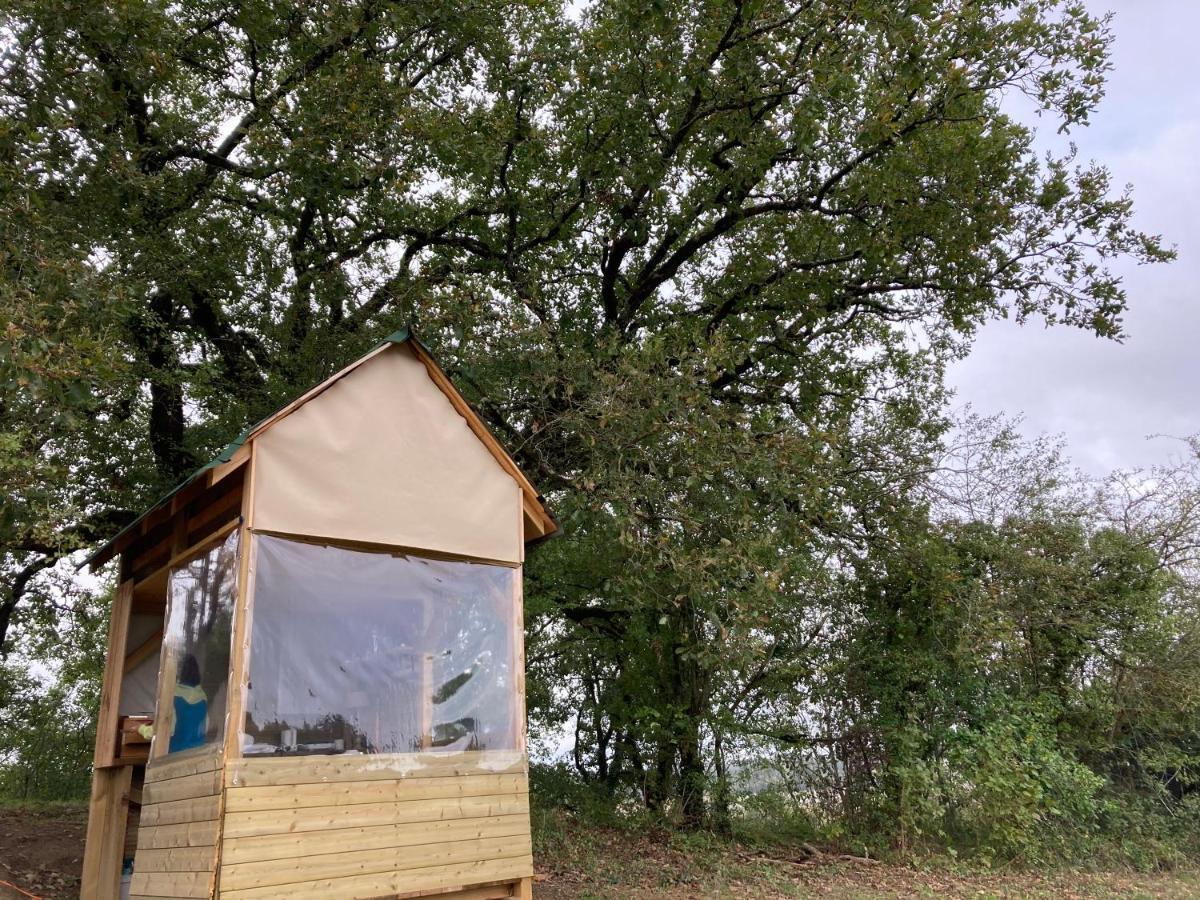 Cabane Bivouac Avec Echelle A L'Ombre Des Chenes Idrac-Respailles Kültér fotó